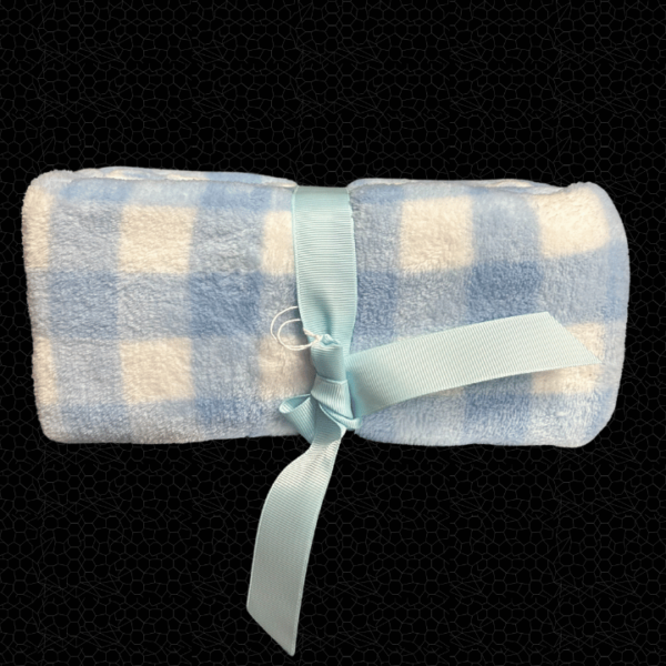 BABY BLUE AND WHITE CHECK BLANKET