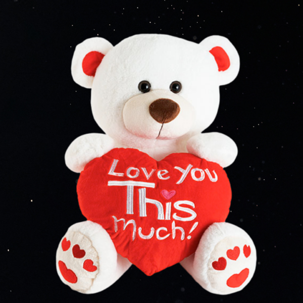 TEDDY BEAR CHUBBS WITH LOVE YOU THIS MUCH HEART