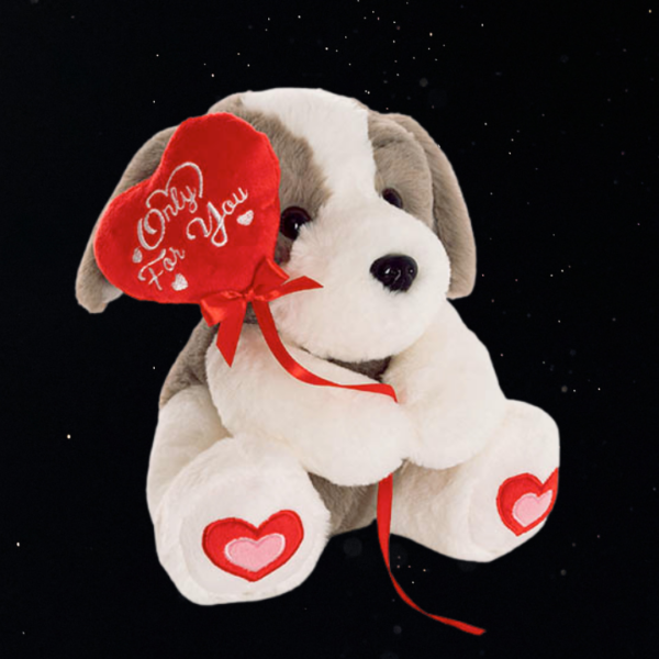 PUPPY HARROLD WITH ONLY FOR YOU HEART PLUSH