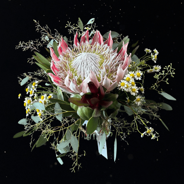 WILD AT HEART ARRANGEMENT