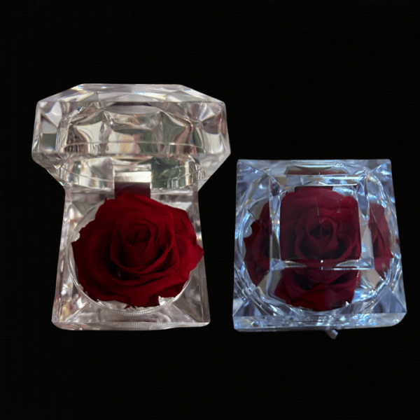 LUSTROUS LOVE