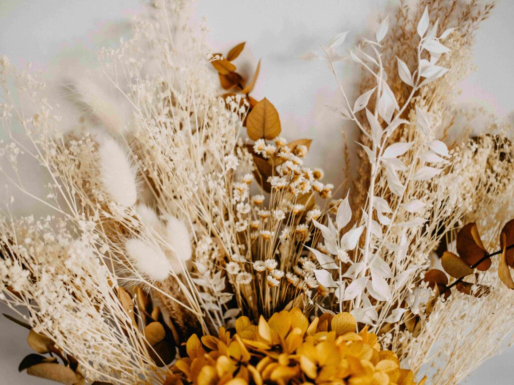 Close-up of an arrangement of preserved flowers