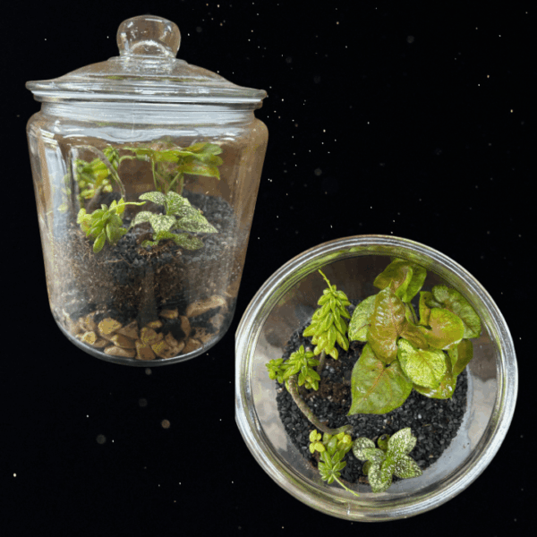 GROW YOUR OWN WEEDS