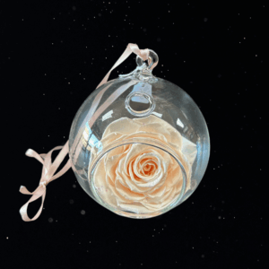 PEACH MOON