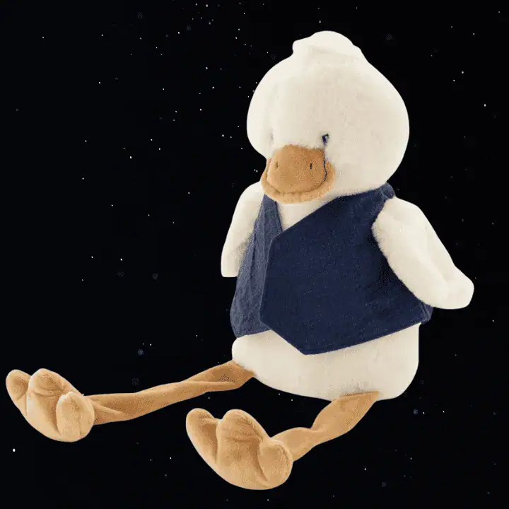 BIG BILL THE DUCK - NANA HUCHY