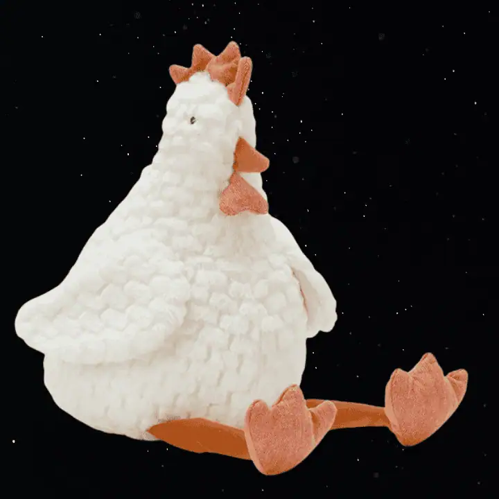 CHARLIE THE CHICKEN - NANA HUCHY