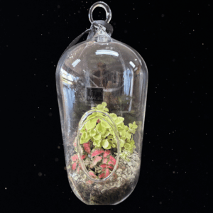 GROW YOUR OWN TINY WORLD