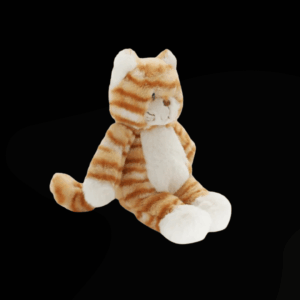 GINGER THE KITTEN - NANA HUCHY