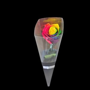Rainbow Forever Rose
