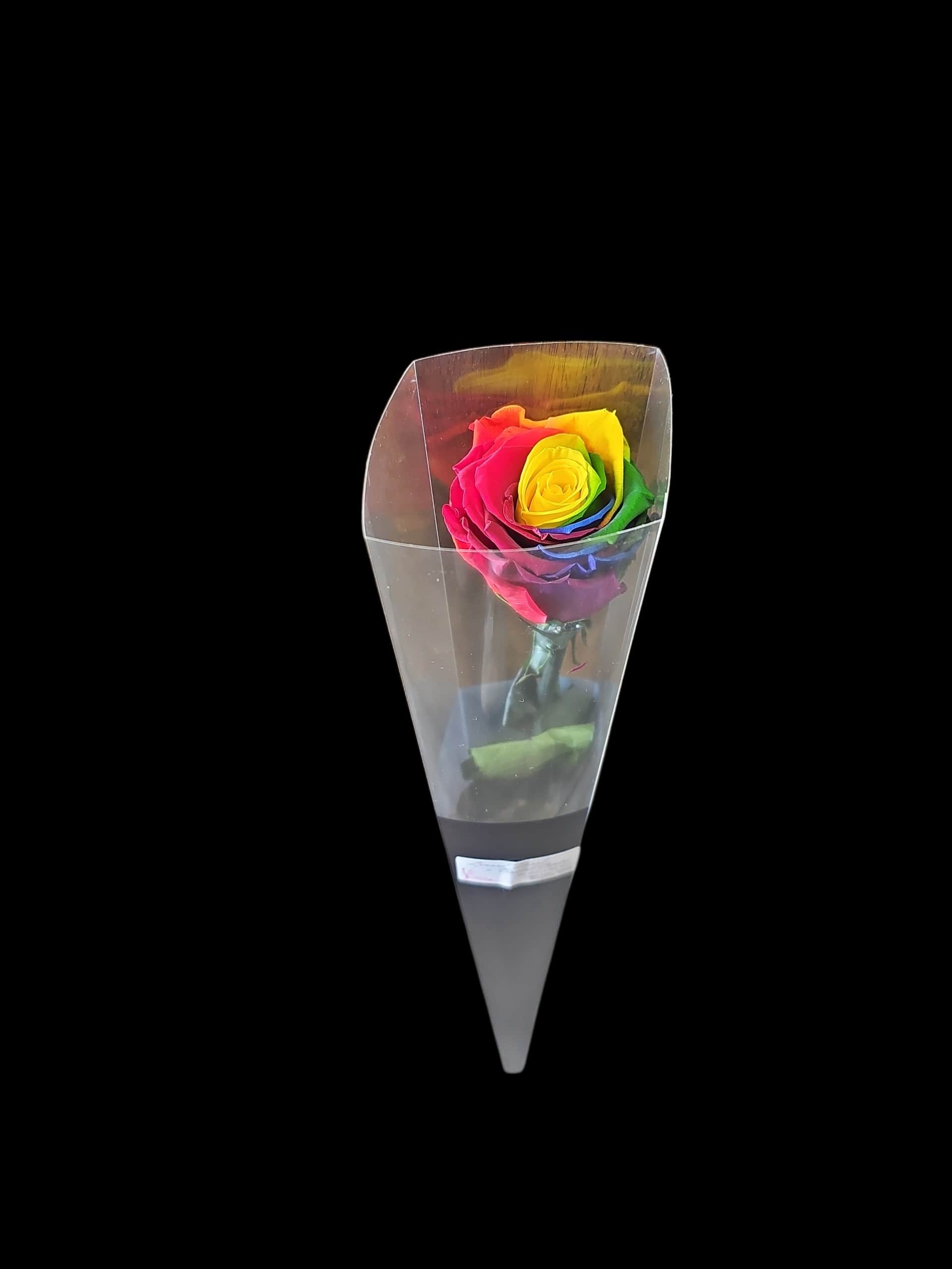 Rainbow Forever Rose