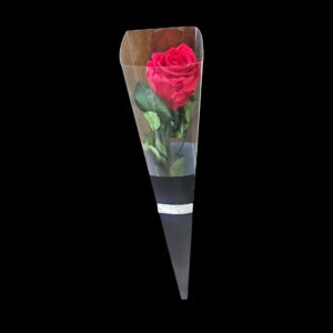 Forever Yours - Preserved Rose