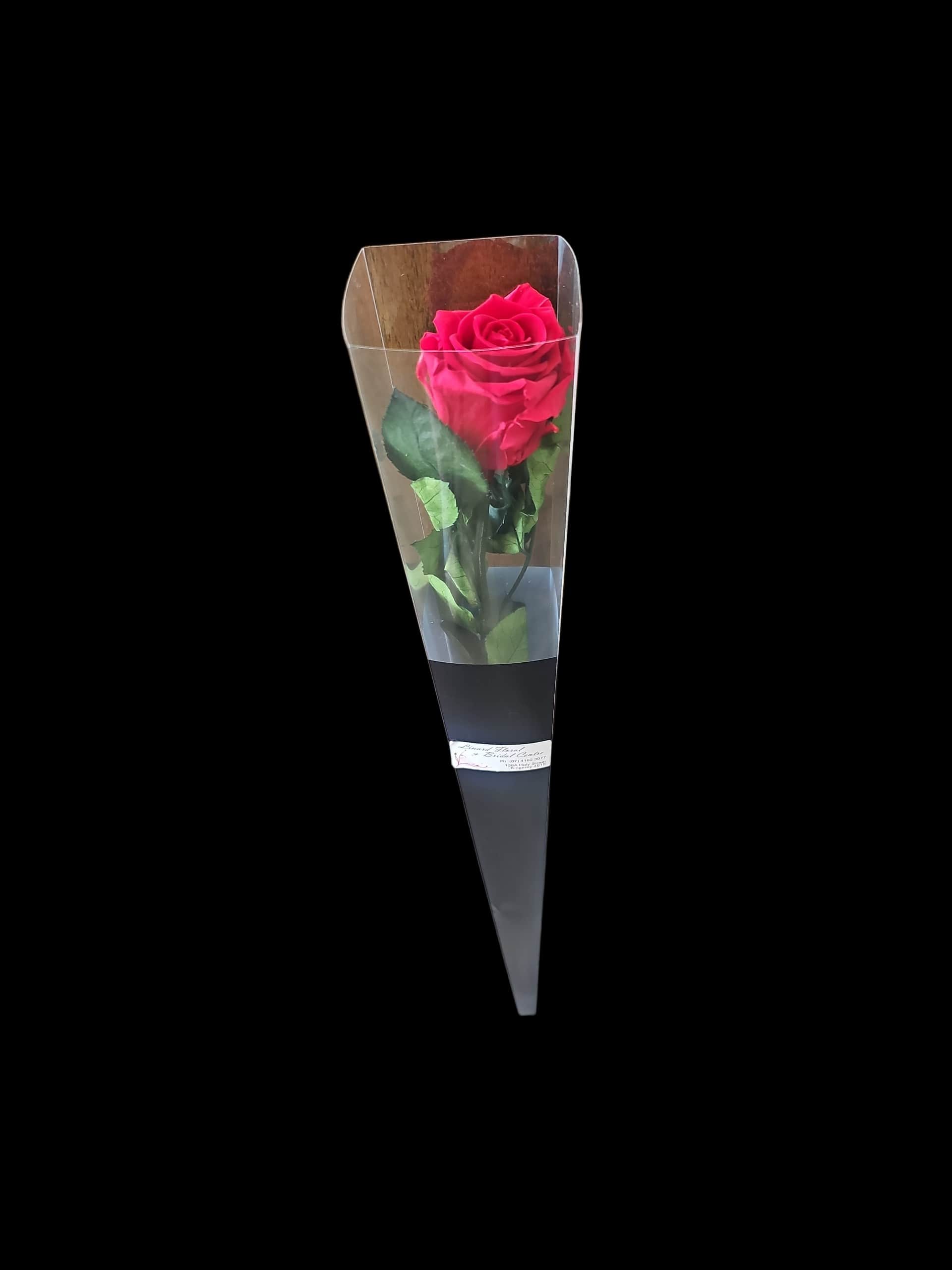 Forever Yours – Preserved Rose