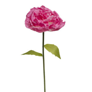 Forever paper rose - Fuschia