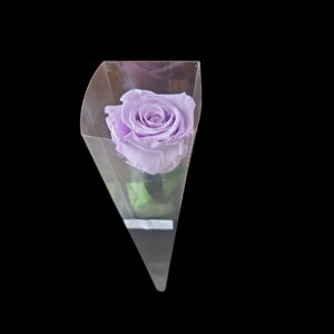 Forever Rose - Lavender