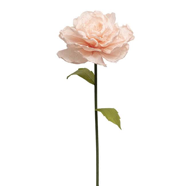 Forever paper rose – Soft Peach