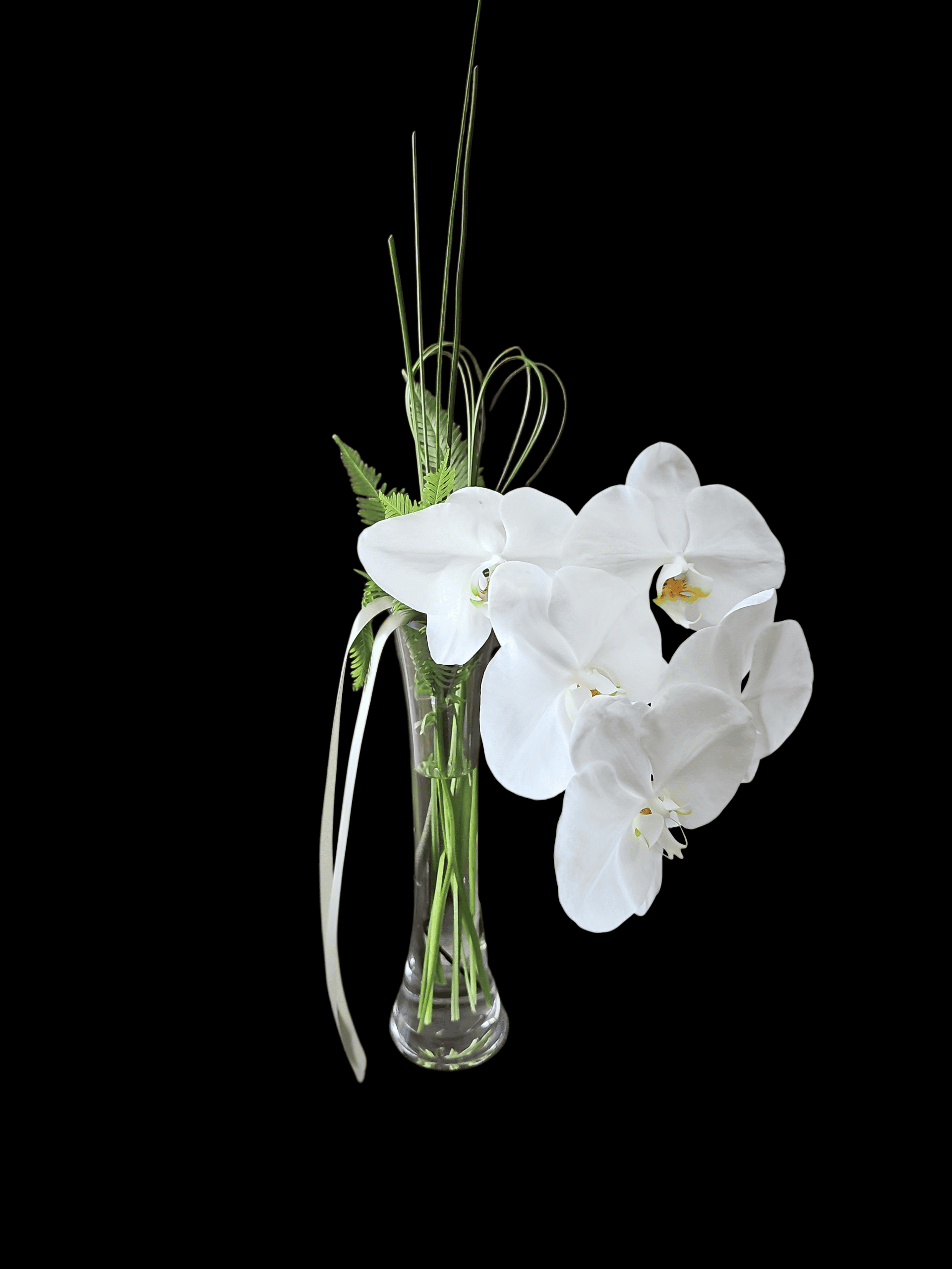 Pure Romance Orchid