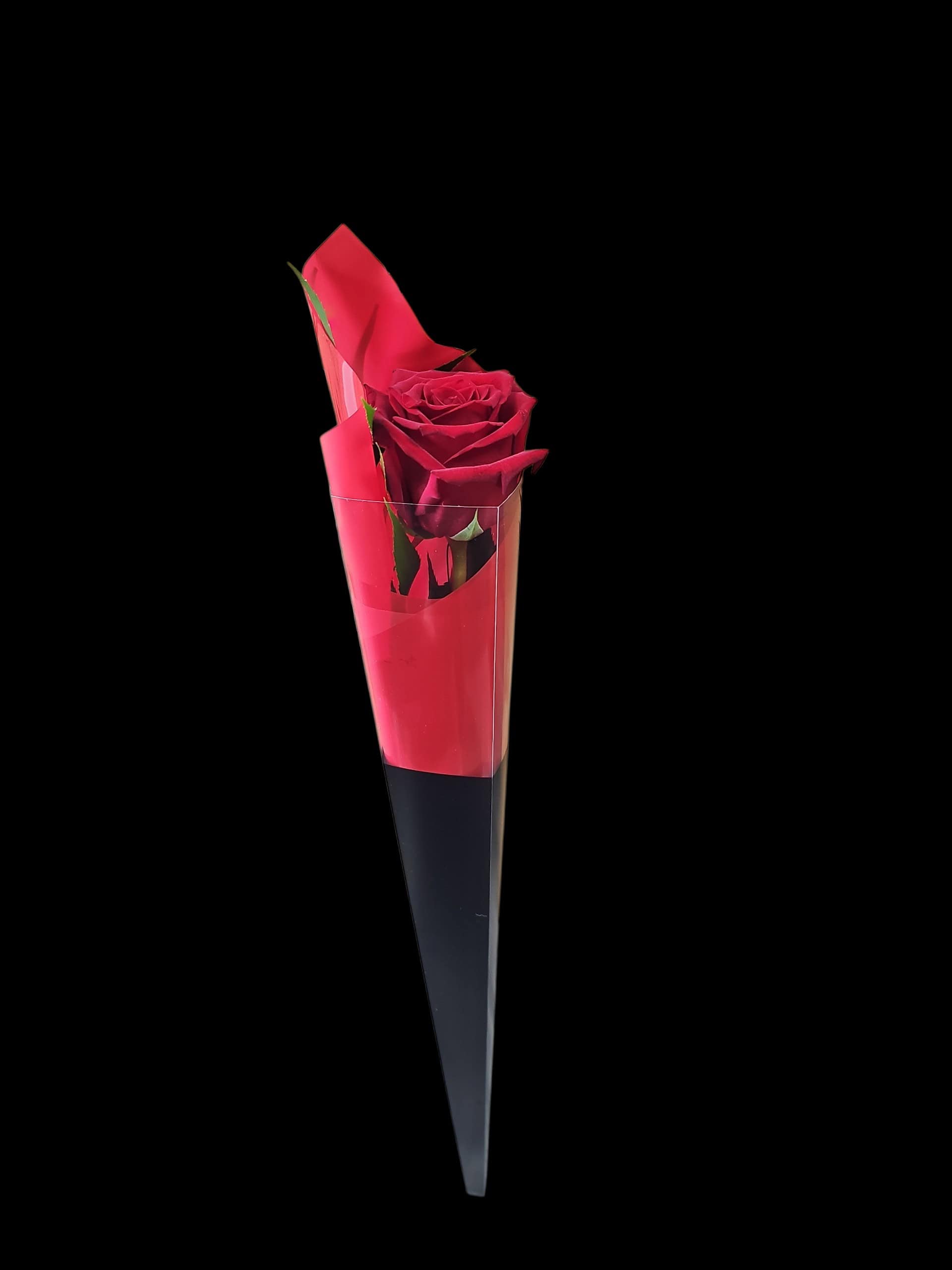 Just One Rose