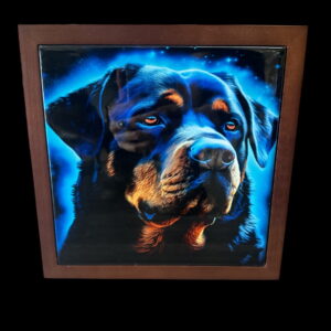 Blue Moon Rottie